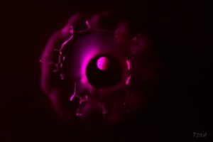 Toxa photographies Toxa photographies